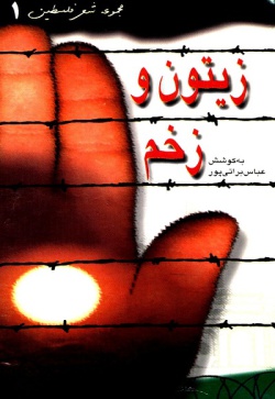 زیتون و زخم